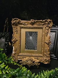 Image 6 of Beautiful Ornate Antique Wooden Framed Web