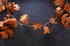 Autumn Wreath with Oak Leaves, Crocus Blossoms, and Bees Image 5