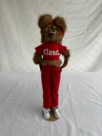Image 2 of Class B Mink