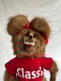 Image 1 of Class B Mink