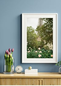 Image 2 of Le Jardin Series - FR3 ROSES OF THE EIFFEL TOWER 01