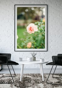 Image 2 of Le Jardin Series - FR1 ROSES OF THE EIFFEL TOWER 