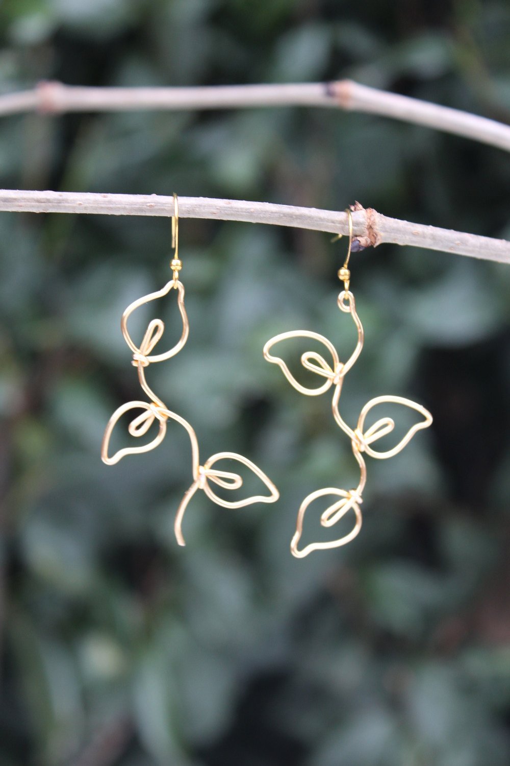 Image of Vines