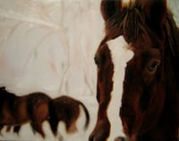 "Wild Horses" Limited Edition Prints