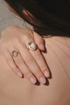 CHANCE M BAGUE 