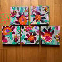 Image 1 of Bellevue Minis 