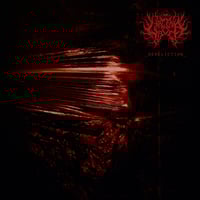 Larcenia Roe - Dereliction - CD
