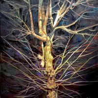 Image 3 of The Nightwatcher