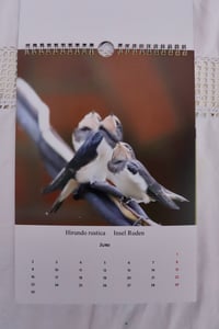 Image 5 of Calendar 2025