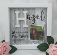 Image 20 of Personalised Pet Loss Frame, Pet Memorial Frame, Pet Loss Gift, LED Pet loss frame