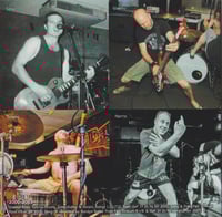 Image 3 of The VeeBees "21 Can Salute" CD 