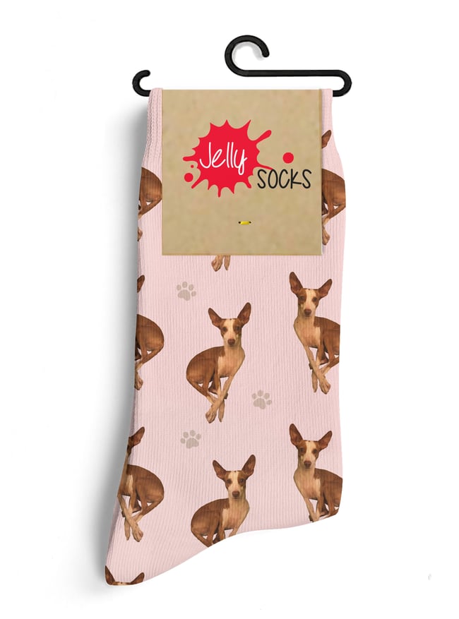 Pets/ customize your socks with your pet