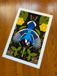 Image 1 of Blue Jay Mandala