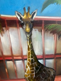 Image 4 of A Hollywood Giraffe 