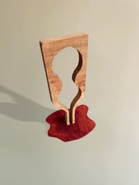Image 3 of Spill Rack