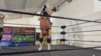 Image 1 of chardonnay and ref destroy Sterling 