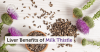 Image 4 of Milk Thistle