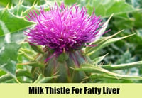 Image 5 of Milk Thistle