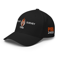 Image 3 of Limited Edition P.A. "Stellar Survey Team"  Flexfit Cap