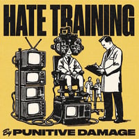 Punitive Damage - "Hate Training" 12"