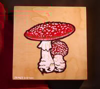 Amanita Glow