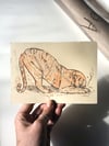 The Tiger Stone Lithograph print