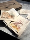 The Tiger Stone Lithograph print
