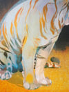 Tiger in The Bear Rainforest A3 Screenprint