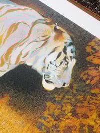 Image 6 of Tiger in The Bear Rainforest A3 Screenprint