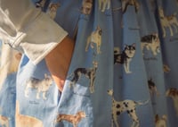 Image 3 of Two Tier Dog Skirt- Green and Blue