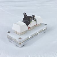 Image 6 of Cat ceramic keycaps choose your design