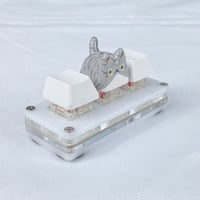 Image 5 of Tabby cat ceramic keycaps choose your design