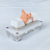 Image 8 of Tabby cat ceramic keycaps choose your design