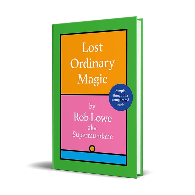 Image of Lost Ordinary Magic