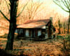 Evil Dead Cabin