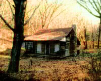 Evil Dead Cabin