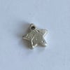 Siggy Star Charm Only
