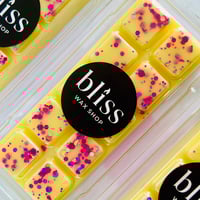 Image 1 of RHUBARB & CUSTARD Wax Melt Clam Shell Snap Bar