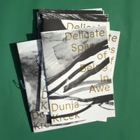 Image 1 of Delicate Spaces of Being in Awe