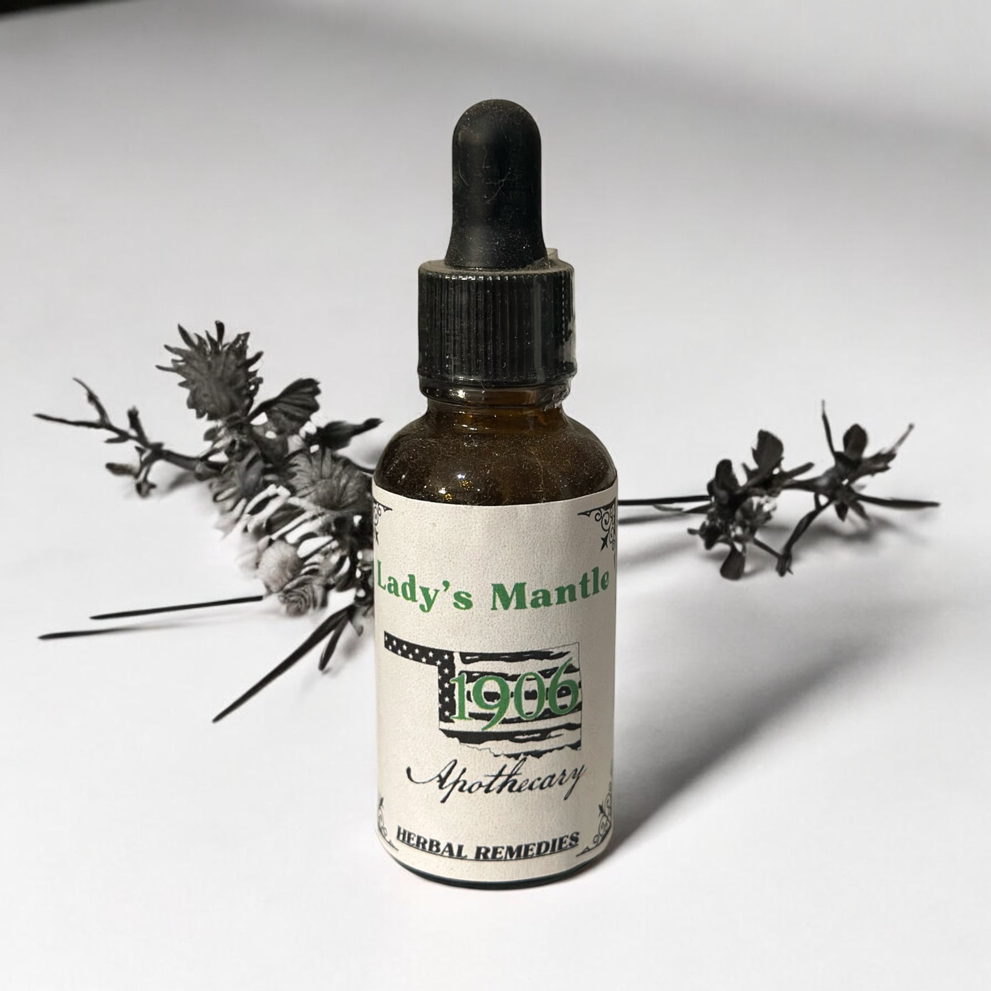 Lady’s Mantle | 1906 Apothecary