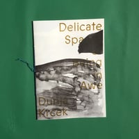 Image 3 of Delicate Spaces of Being in Awe