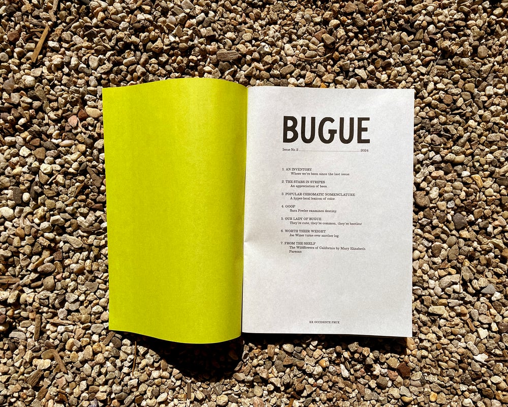 Image of BUGUE - Issue No. 2