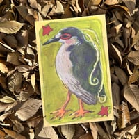 Image 2 of black crowned night heron print