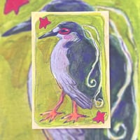 Image 1 of black crowned night heron print