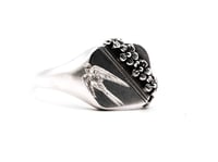 Image 3 of Sparrow Signet 