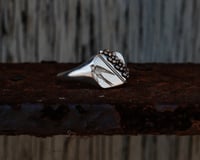 Image 1 of Sparrow Signet 