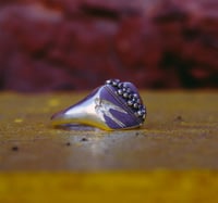 Image 4 of Sparrow Signet 