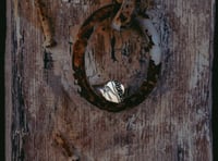 Image 5 of Sparrow Signet 