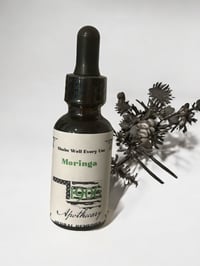 Moringa 