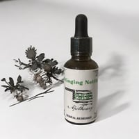 Stinging Nettle